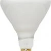 Sylvania® 65W BR40 Dimmable Incandescent Light Bulbs - 2 Pack -SYLVANIA SALE 3533409bl